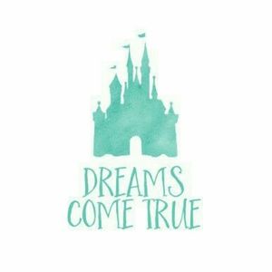 LOVE DISNEY? Shop my closet for some great items!